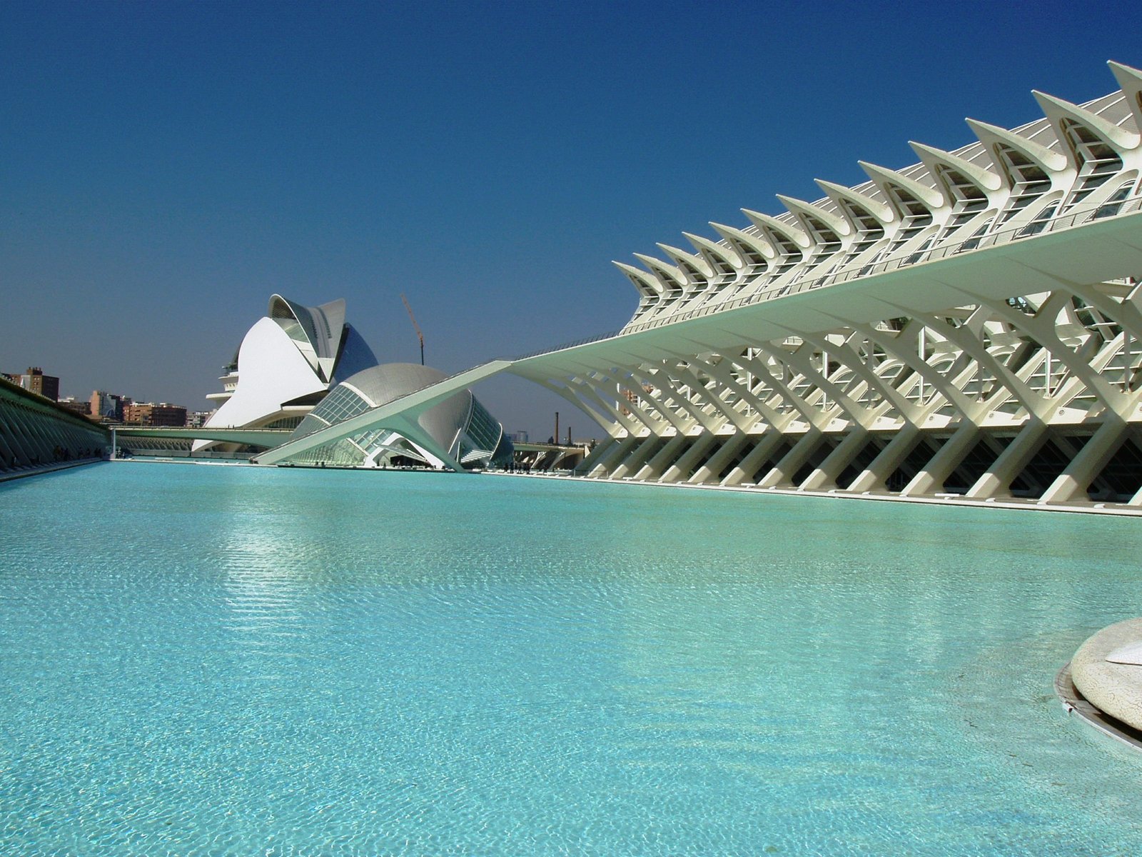 Ciudad de las Artes y las Ciencias de Valencia, sede de AMG Softcon